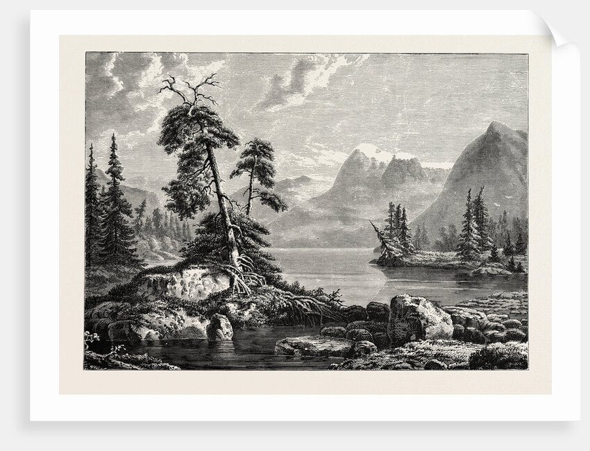 A View on the Hardanger Fjord by Anonymous
