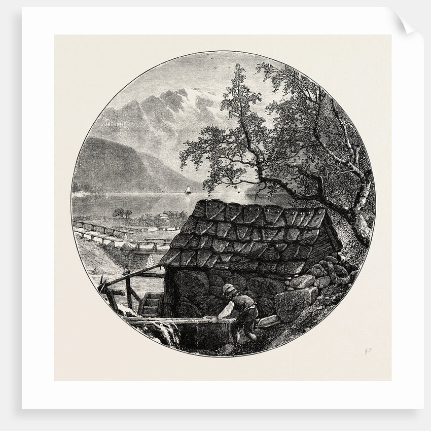 View Near Ulvik by Anonymous
