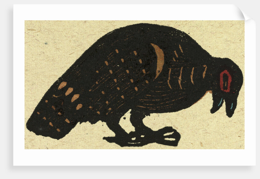 Illustration of English Tales Folk Tales and Ballads. Pheasant by Anonymous