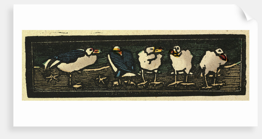 Illustration of English Tales Folk Tales and Ballads. Five Sea Gulls by Anonymous