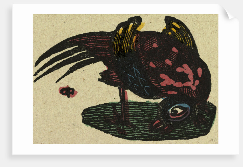 Illustration of English Tales Folk Tales and Ballads. A Colourful Bird by Anonymous