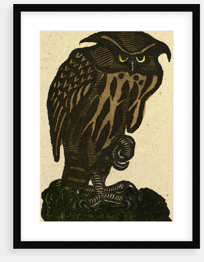 Illustration of English Tales Folk Tales and Ballads. A Grumpy Owl by Anonymous