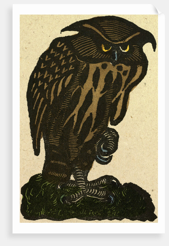 Illustration of English Tales Folk Tales and Ballads. A Grumpy Owl by Anonymous
