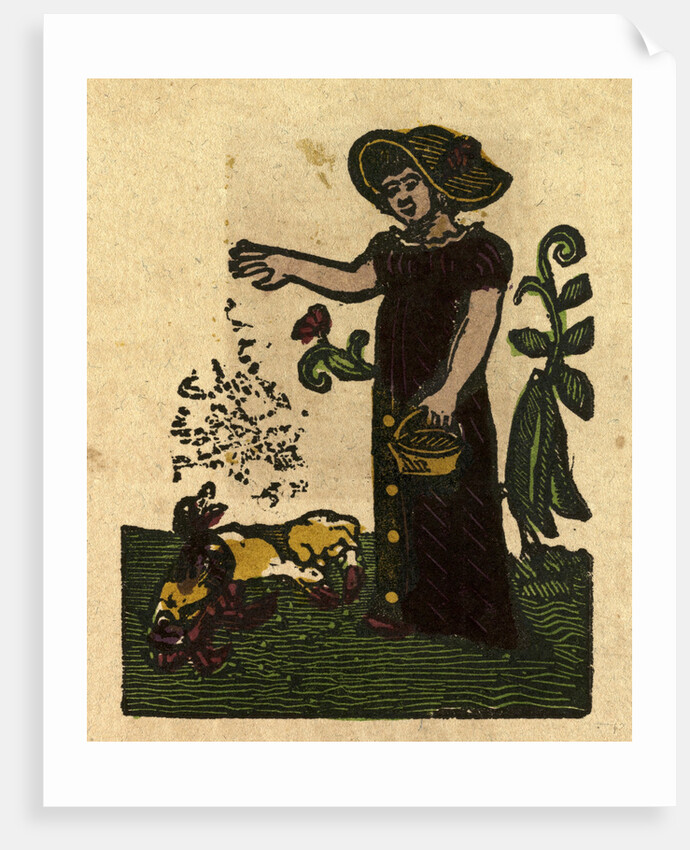 Illustration of English Tales Folk Tales and Ballads. A Woman Feeding Ducks by Anonymous