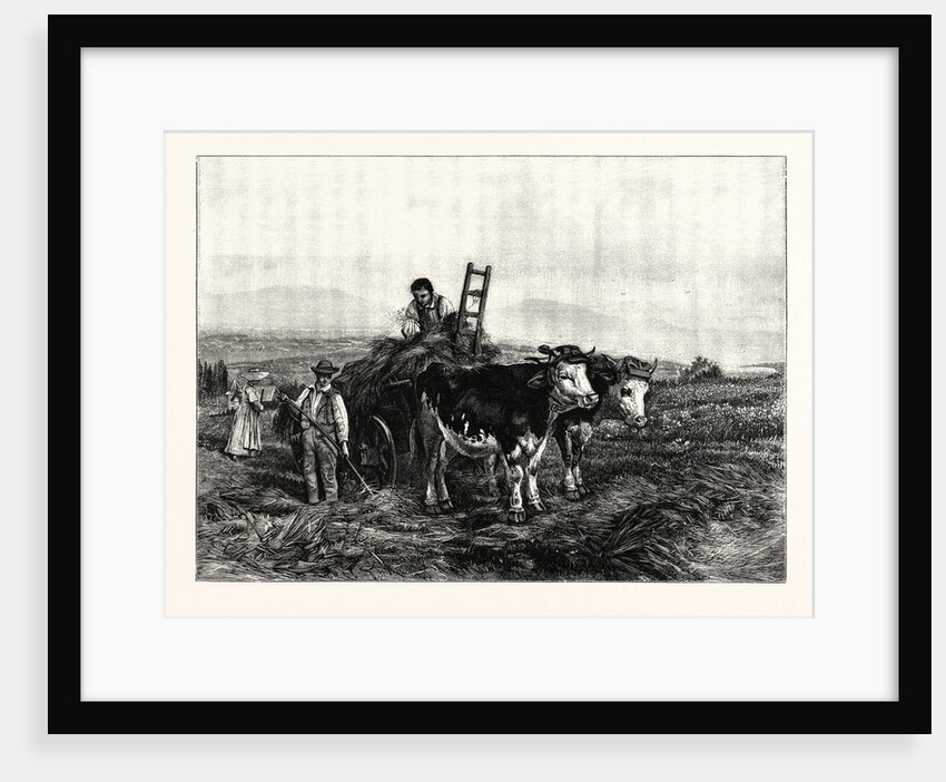Hay-Making in Switzerland by Anonymous