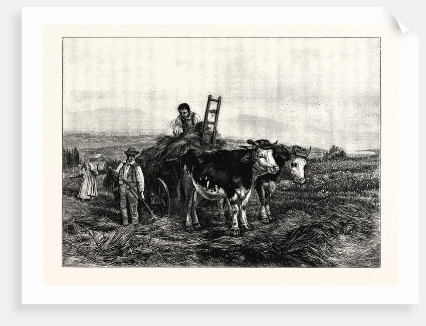 Hay-Making in Switzerland by Anonymous