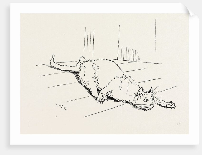 The Cat that Ate the Rat, 19th Century by Anonymous