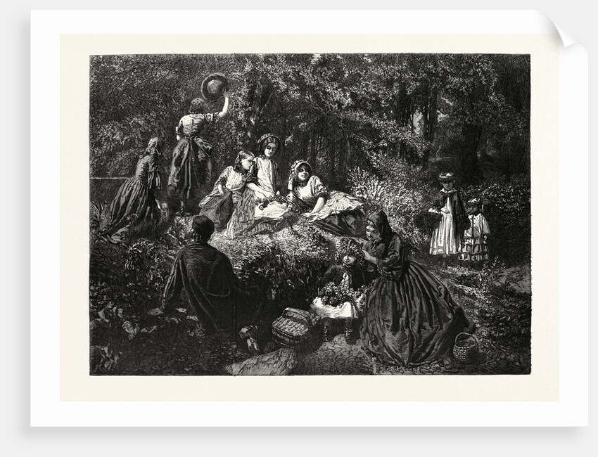 Holiday in the Woods by Anonymous