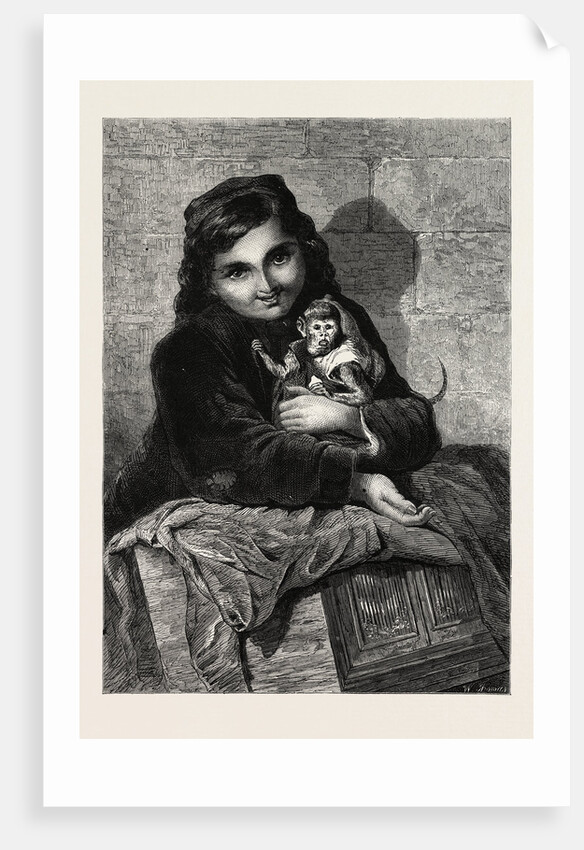 Two Little Monkeys, in the Exhibition of the Society of Female Artists by Anonymous