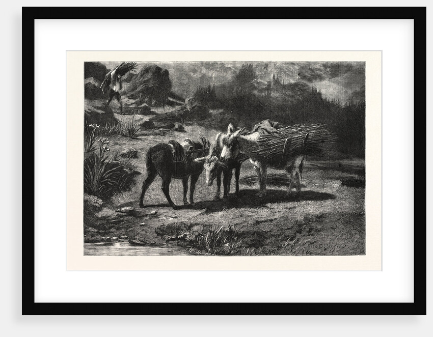 The Three Brothers, in the French Gallery by Anonymous