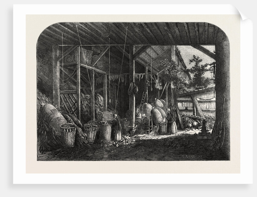 The Treaty with France French Rags and French Paper: A Rag-Warehouse in the Quartier Mouffetard at Paris France by Anonymous