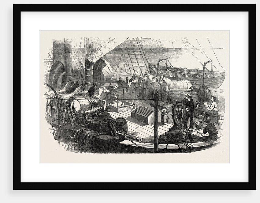 Shipping Artillery Horses at Calais for the French Expeditionary Force to the Baltic 1854 by Anonymous