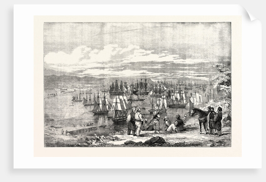 The Crimean War: Varna Bay: The Allied Fleet Getting Under Way for the Crimea 1854 by Anonymous