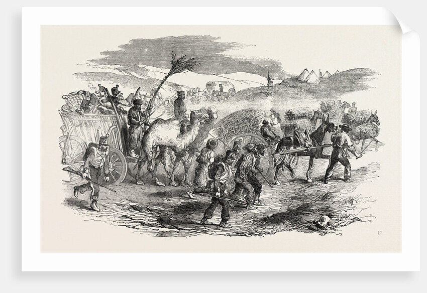 The Crimean War: The Road to Sebastopol: Commissariat Waggons Conveyance of Fascines 1854 by Anonymous
