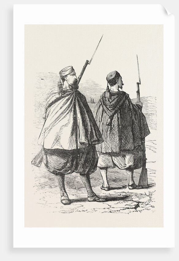 Zouaves 1854 by Anonymous