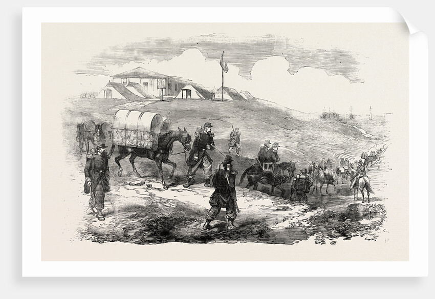 The Crimean War: French Ambulances Before Sebastopol 1854 by Anonymous