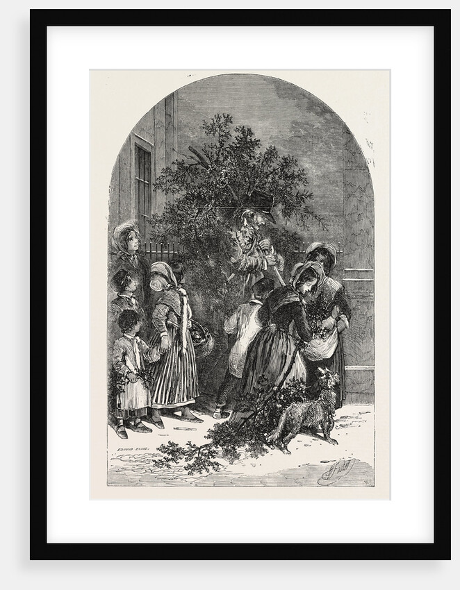 The Mistletoe Seller Christmas by Anonymous