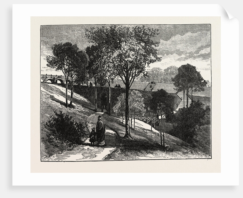 Terraces in Beaumont Park, Huddersfield, UK, 1883 by Anonymous