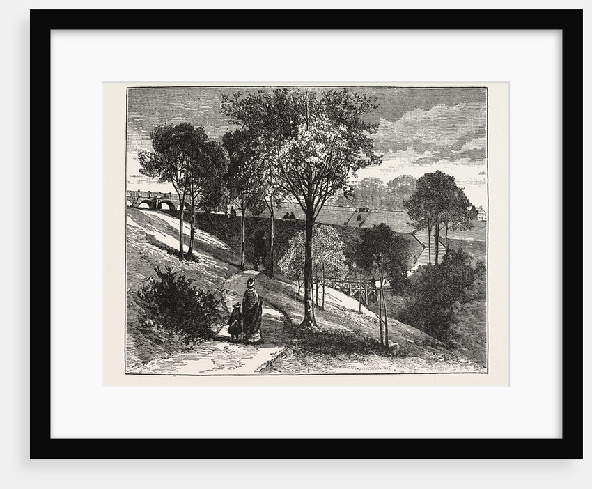 Terraces in Beaumont Park, Huddersfield, UK, 1883 by Anonymous