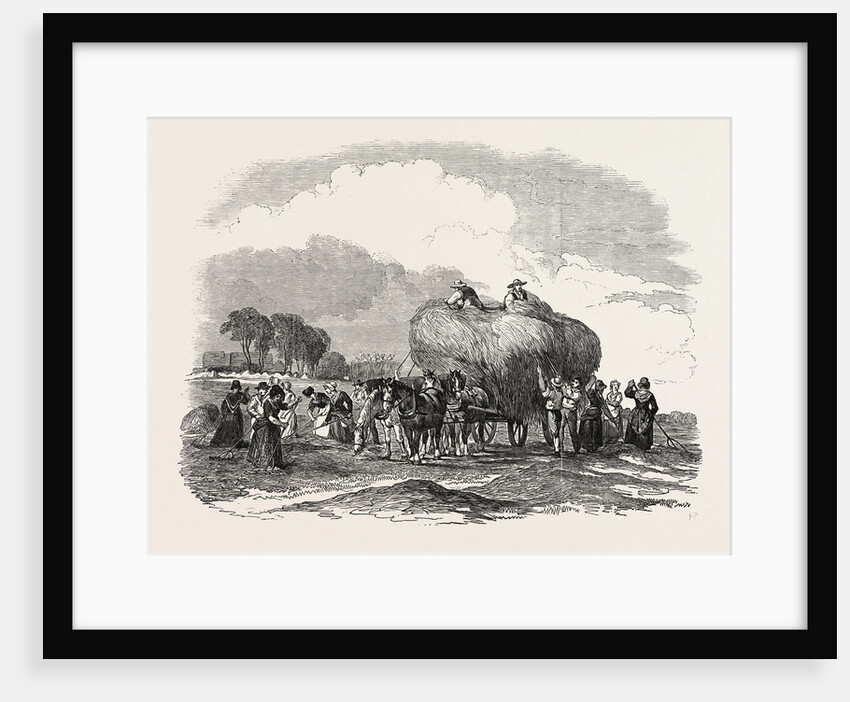Agricultural Pictures: Hay Harvest by Anonymous