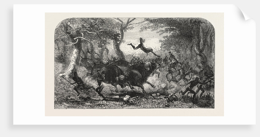 Dr Livingstone's Missionary Travels and Researchers in South Africa: The Travelling Procession Interrupted, 1857 by Anonymous