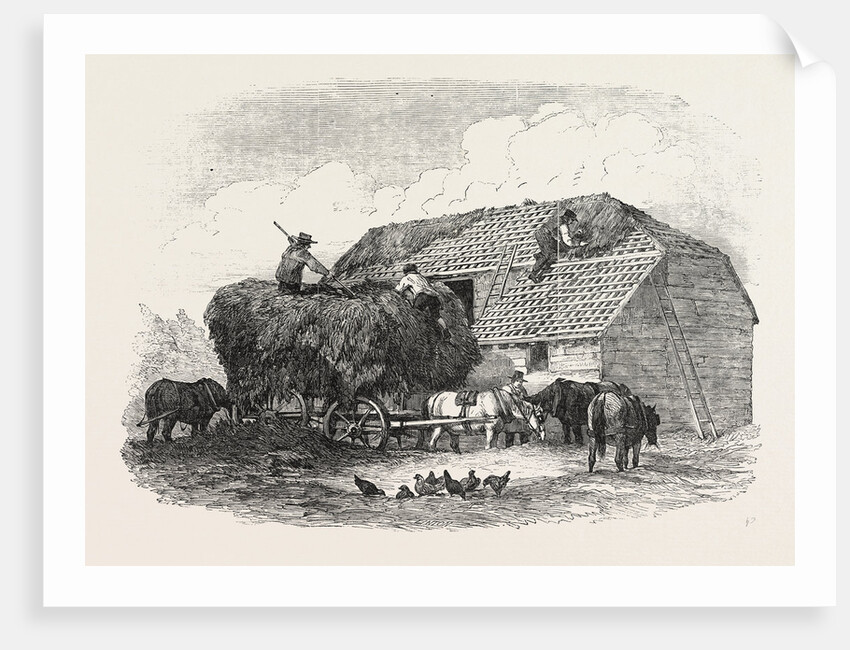 Agricultural Pictures: Thatching, 1846 by Anonymous