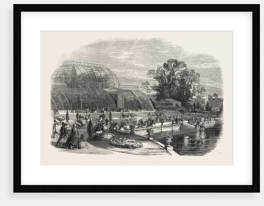 The Palmhouse, Kew Gardens, London, 1859 by Anonymous