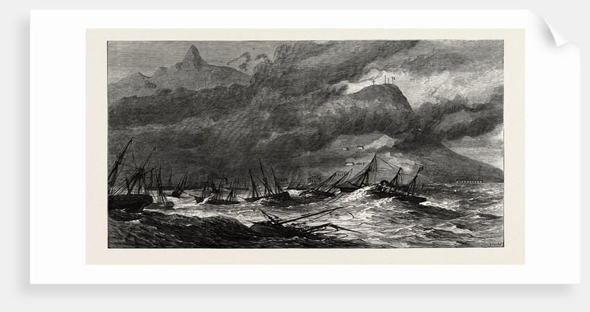 Hurricane at the Isle of Mauritius, 1874 by Anonymous