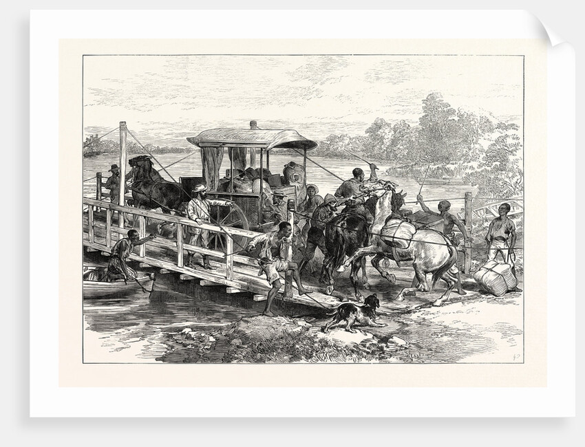 Pontoon Over Vaal River, Klipdrift, South African Diamond Fields, on the Way to the Gold Fields, 1874 by Anonymous