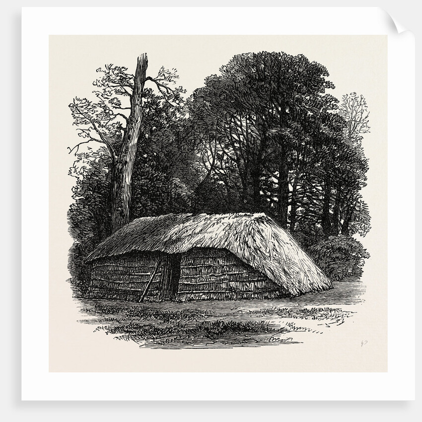 Facsimile of the Hut Built for Dr. Livingstone to Die in. 1874 by Anonymous