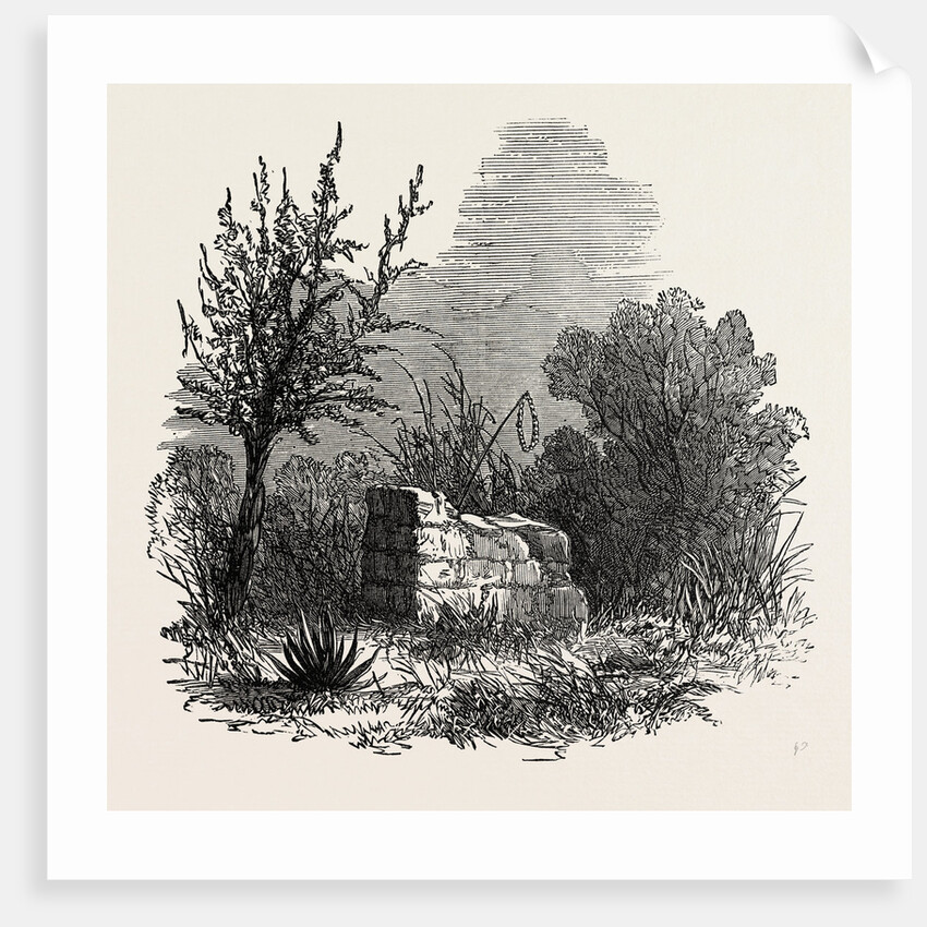 Tomb of Virginia, Mauritius, 1874 by Anonymous