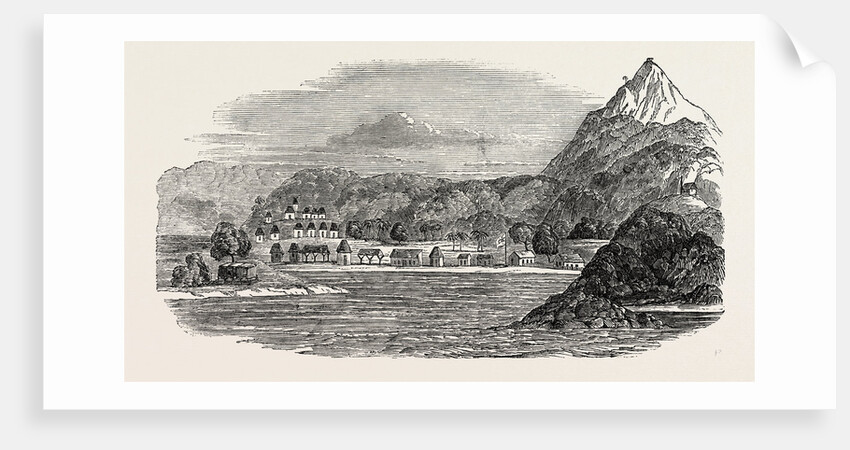 Tigre Island, 1850 by Anonymous