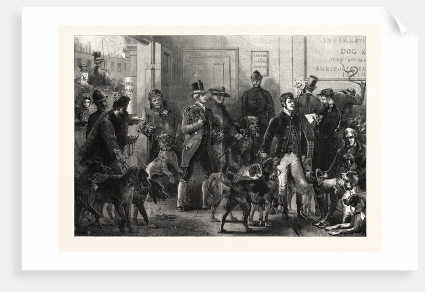 The International Dog Show at Islington: Arrival of Dogs, London, 1865 by Anonymous