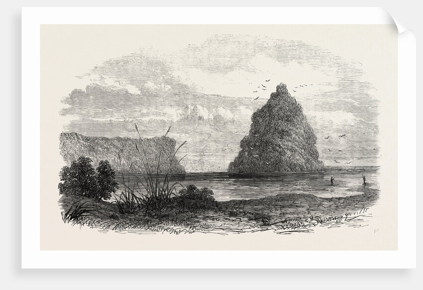 An Exploring Party on the West Coast of New Zealand: Mouth of the Wanganui River, 1865 by Anonymous