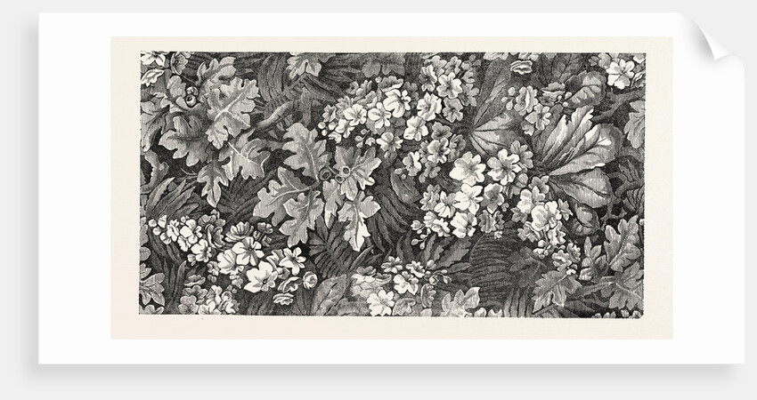 Carpet. Kidderminster. 1851 by Anonymous