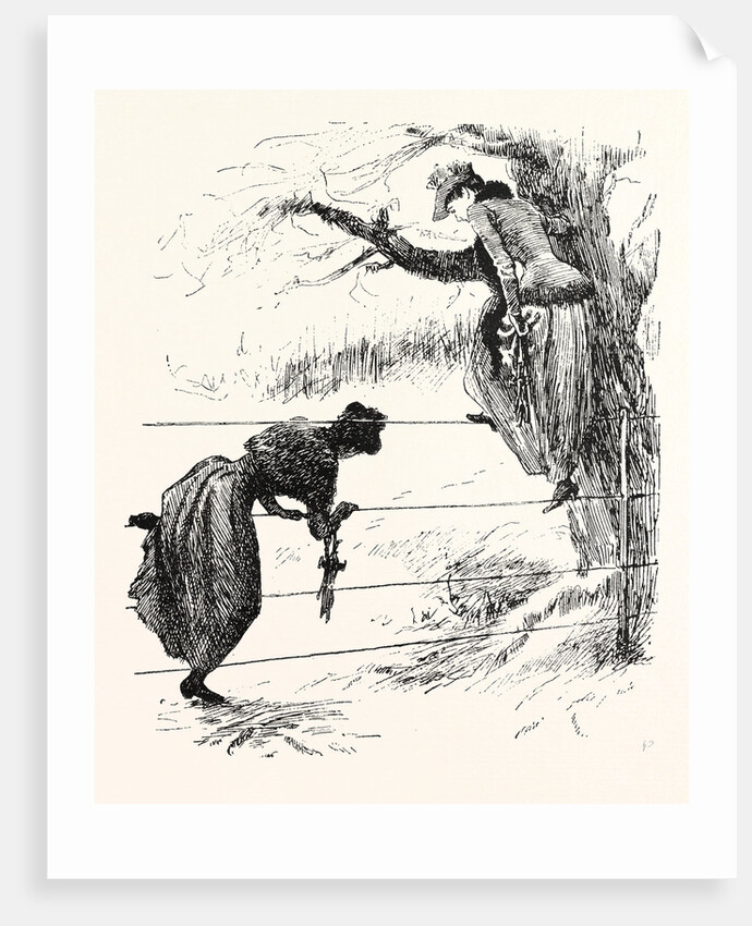 Two Methods of Speeling a Wire-Fence by Anonymous