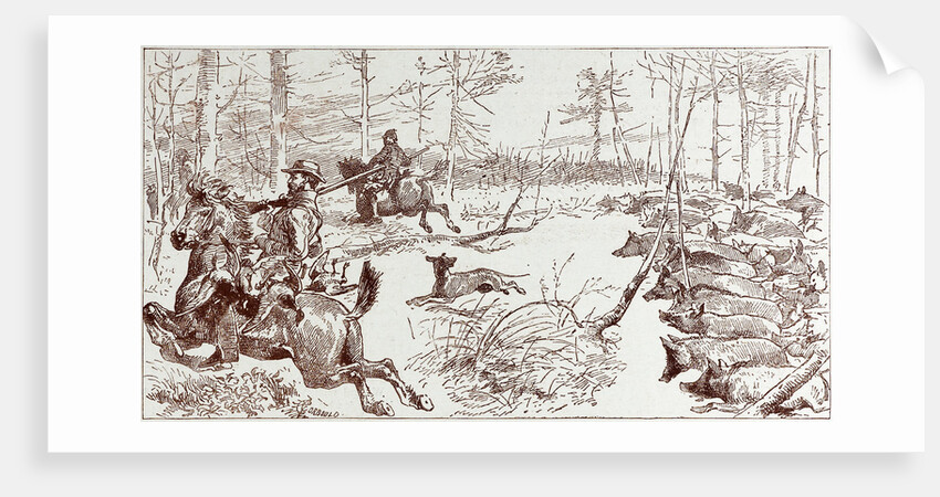 A Shooting Excursion in Turkey: Our Horses Are Seized with Panic and Stampede Madly Through the Forest by Anonymous