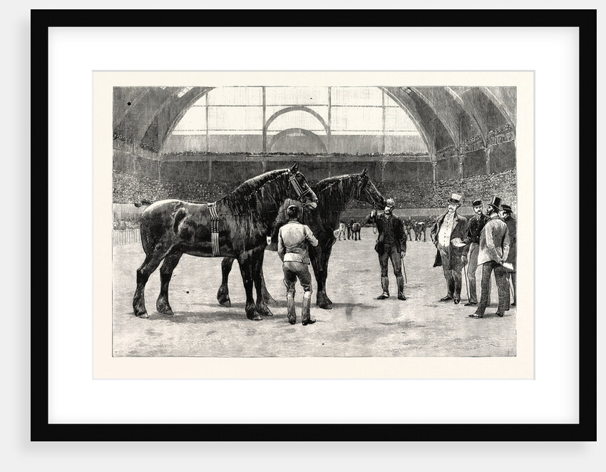 The Shire Horse Show at the Agricultural Hall: The Final Duel by Anonymous