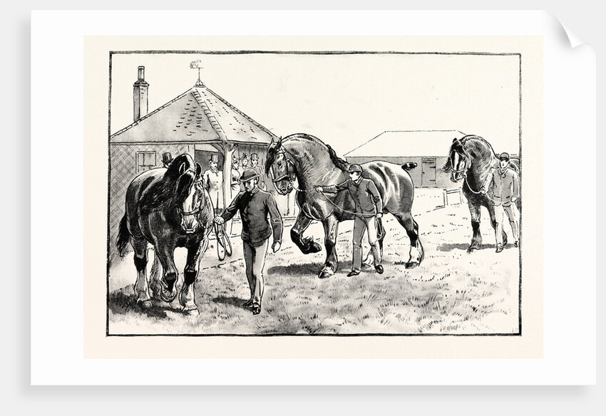 A Parade in Front of the Pavilion in Mr. Gilbey's Paddocks at Elsenham by Anonymous