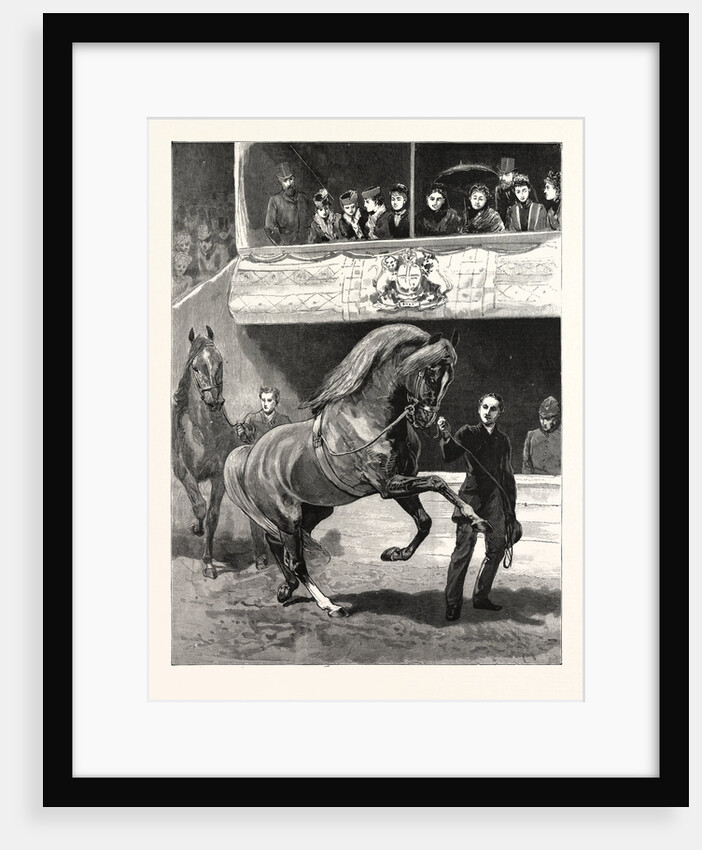 The Queen at the Islington Horse Show: The Prize Winners Parading Before the Royal Box by Anonymous