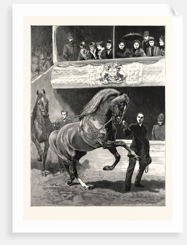 The Queen at the Islington Horse Show: The Prize Winners Parading Before the Royal Box by Anonymous