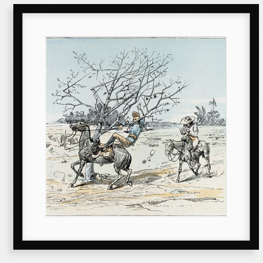 The South African Plains by Anonymous