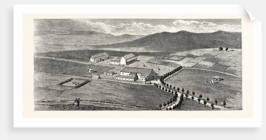 The Future of South Africa: View of Bremersdorp the Proposed Capital of Swaziland Showing the Present Government Buildings by Anonymous