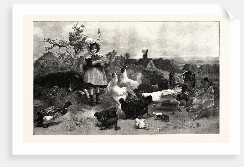 A Morning Call by Anonymous