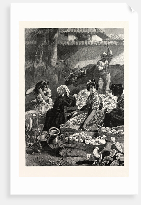 In the Sunny South Packing Oranges in the Marketplace at Seville Spain by Anonymous