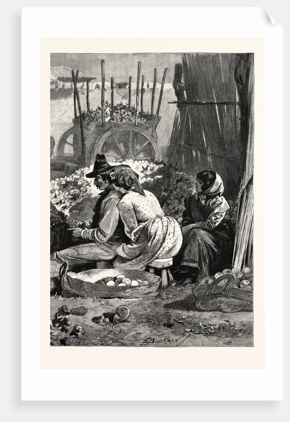 In the Sunny South Packing Oranges in the Marketplace at Seville Spain by Anonymous