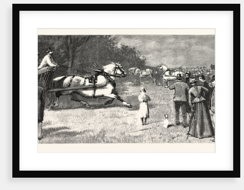 The London Cart Horse Parade on Whit-Monday: A Competitor Entering the Show Ground UK by Anonymous