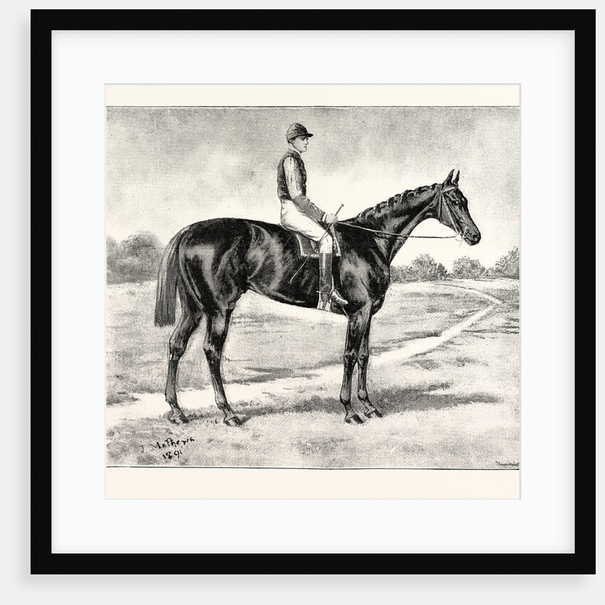 Lord Alington's Common Winner of the Two Thousand Guineas and Favourite for the Derby by Anonymous