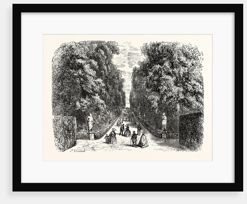 Avenue in Boboli Gardens by Anonymous