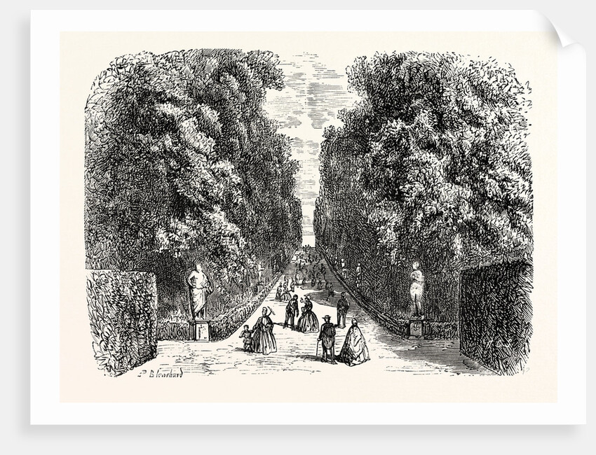 Avenue in Boboli Gardens by Anonymous